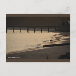 Beach Hund bei Sunset | Blue Beach Song™ Postkarte