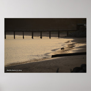 Beach Hund bei Sunset Poster