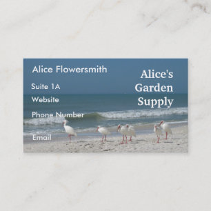 Beach Ibis - Visitenkarte