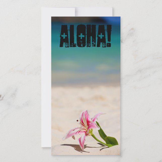 Beach Lily (Vorderseite)