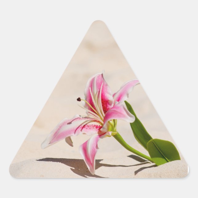 Beach Lily Sticker (Vorderseite)