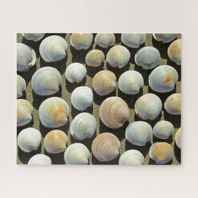 BEACH-MUSCHELN 16x20 INCH Puzzle (Horizontal)