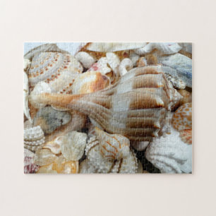 Beach Muscheln Blitzwhelk Puzzle