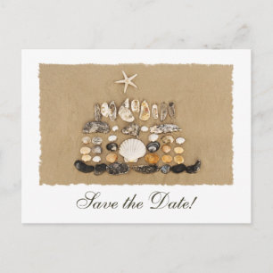 Beach Muscheln Cake Save the Date Ankündigungspostkarte