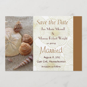 Beach-Muscheln Hochzeitsstichtag Speichern Sie die Save The Date