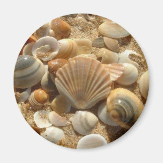 Beach Muscheln Magnet