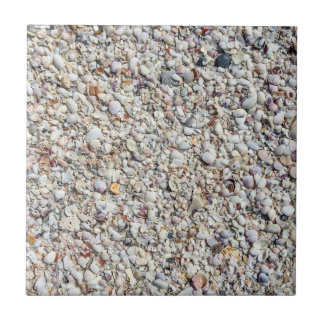 Beach Muscheln Sea Muschel Hintergrund Ocean Textu Fliese