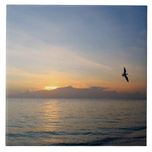 Beach Ocean Sunset Foto 195 Fliese