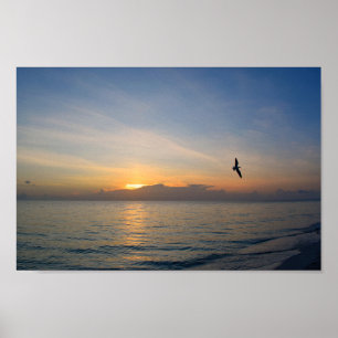 Beach Ocean Sunset Foto 195 Poster