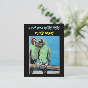 "Beach Parrots" Gemälde auf einem Postkarte