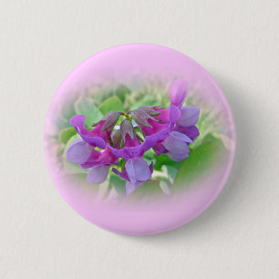 Beach Pea - Lathyrus japonicus - Wildblume Button