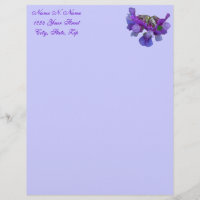 Beach Pea (Lathyrus maritimus) Letterhead