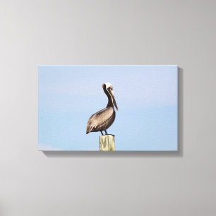 Beach Pelican Fishing Leinwand Fotografie