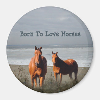 Beach Pferde Magnet