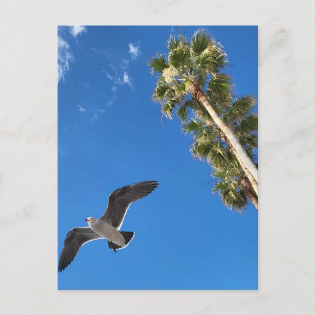 Beach Post Card Postkarte (Vorderseite)