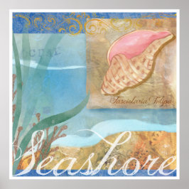 Beach Poster IV, "Seashore mit Tulip Muschel"