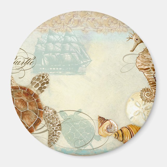 Beach Sand Seashore Collage Turtle Sea Horse Musch Magnet (Vorne)