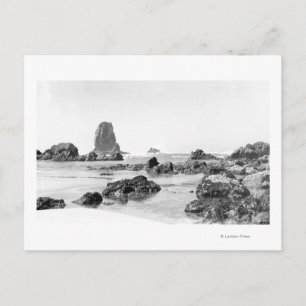 Beach Scene at Cannon Beach, Oregon Fotografie Postkarte