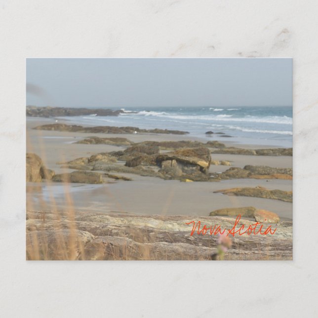 Beach Scene Nova Scotia Rissers Southshore Postkarte (Vorderseite)