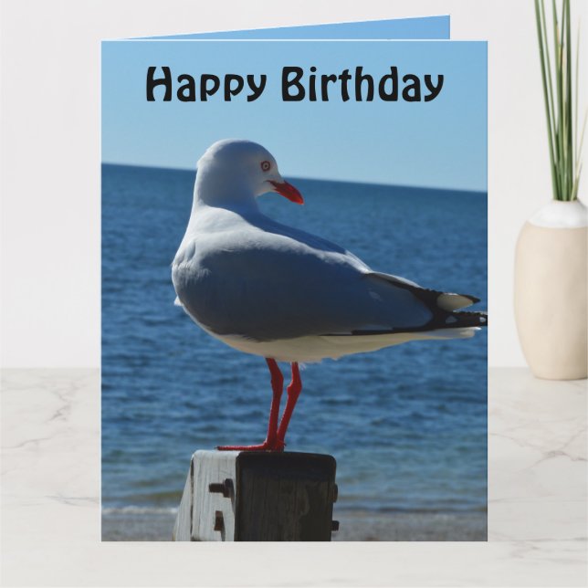 Beach Sea Gull, Jumbo Birthday Card Karte (Vorderseite)