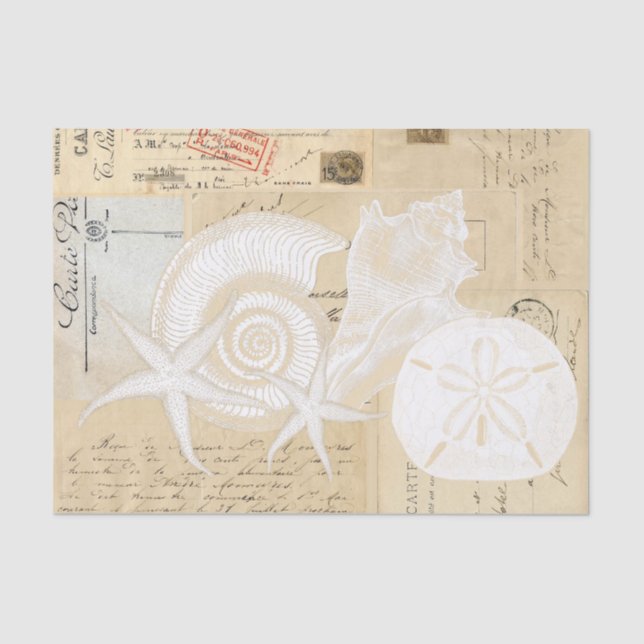 Beach Seashells Cream Französisches Postkartenpapi Seidenpapier (Vorderseite)
