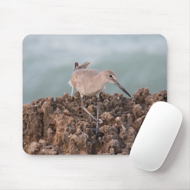 Beach Shorebird mit GreenOcean-Hintergrund Mousepad (Mit Mouse)