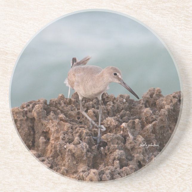 Beach Shorebird Willet mit Aquamarinem Meereshinte Getränkeuntersetzer (Vorne)
