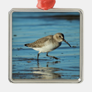 Beach Shorebirds Szene - Dunlin Ornament Aus Metall