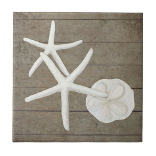 Beach Starfish Sanddollar-Muscheln, gewittertes Ho Fliese