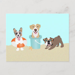Beach Summer Dogs Blue Orange Postkarte