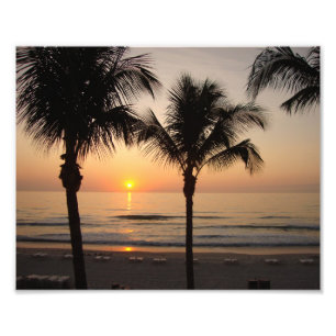 Beach Sunset Ocean Palm Tree Fotografy Art Printin Fotodruck