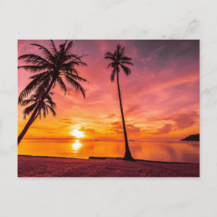 Beach Sunset Postkarte