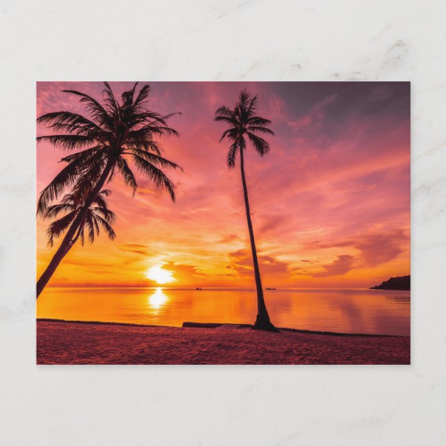 Beach Sunset Postkarte (Vorderseite)