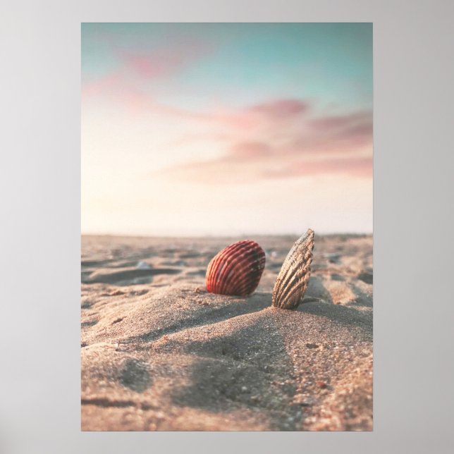 Beach Sunset Sea Muschel Beach Fotoposter Poster (Vorne)