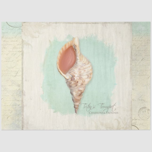 Beach Trumpet Sea Muschel Blue Watercolor Decoupag Seidenpapier (Vorderseite)
