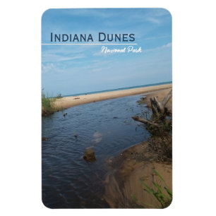 Beach Veiw Indiana Dunes Nationalpark Magnet