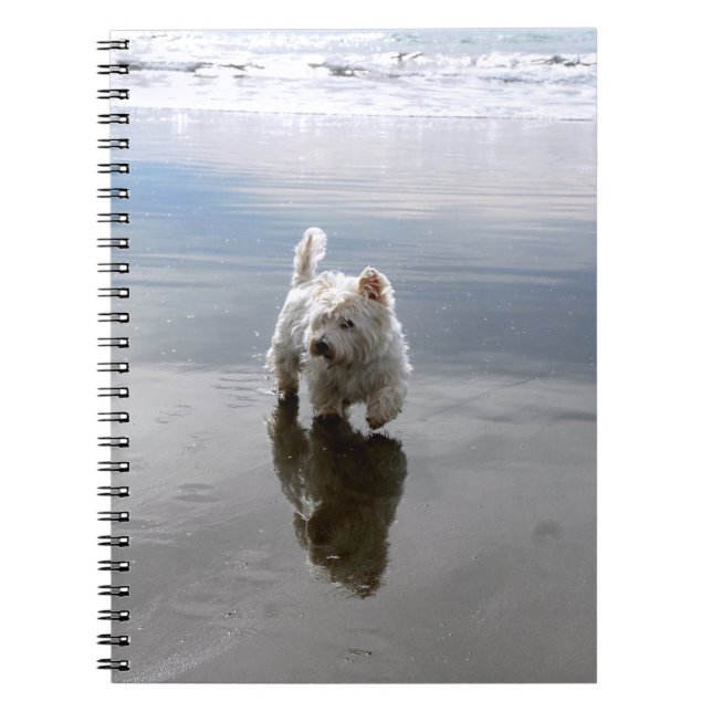 Beach Westie Reflection Foto Notebook Notizblock (Vorderseite)
