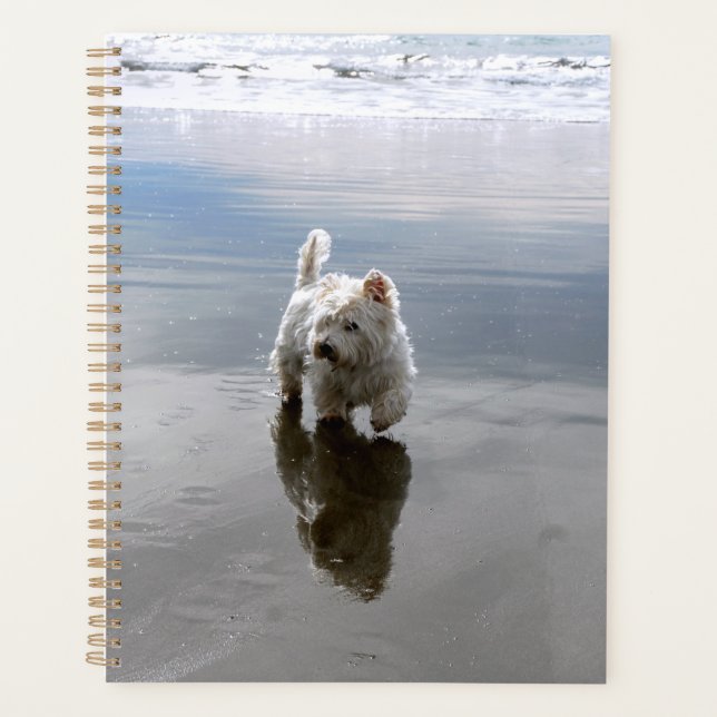 Beach Westie Reflection Foto Planer (Vorderseite)