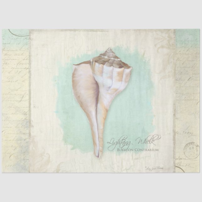Beach Whelk Muschel Aqua Blue Aqua Seidenpapier (Vorderseite)