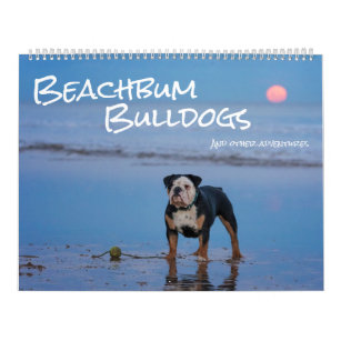 Beachbum Bulldogs und andere Abenteuer Kalender