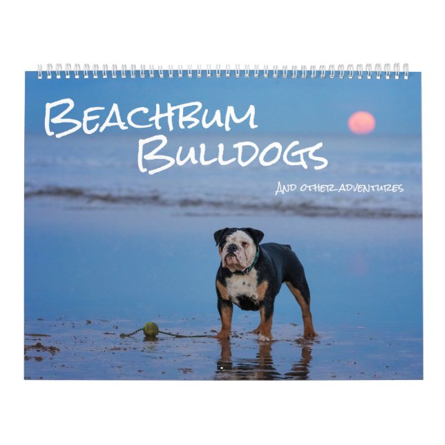 Beachbum Bulldogs und andere Abenteuer Kalender (Titelbild)