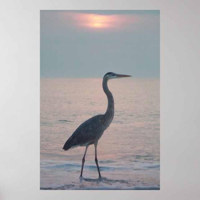 Beachcoming Heron Poster (Vorne)