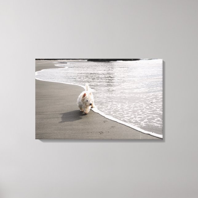 Beachcoming Westie Canvas Print Leinwanddruck (Vorderseite)