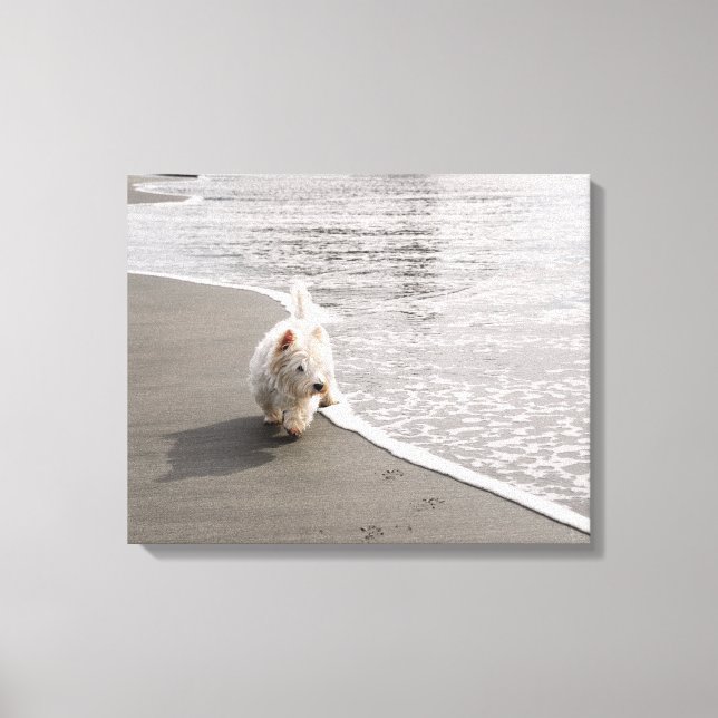 Beachcoming Westie Foto Canvas Print Leinwanddruck (Vorderseite)