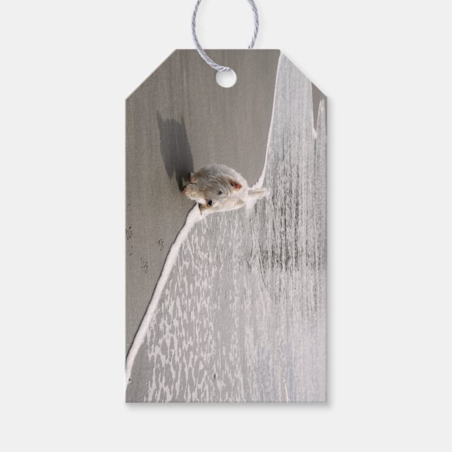 Beachcoming Westie Foto Geschenkmarke Geschenkanhänger (Vorderseite)