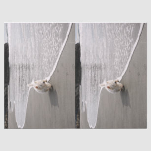Beachcoming Westie Foto Tissue Paper Seidenpapier