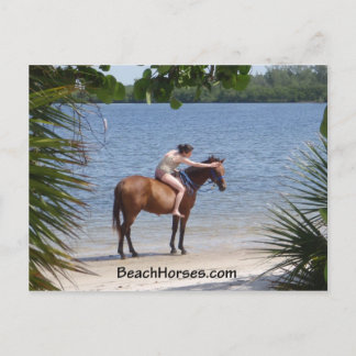 BeachHorses.com Postkarte