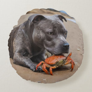 "Beachside Pals: Ein Staffy und sein Krabbenbeglei Rundes Kissen