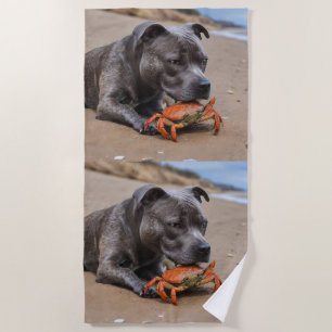 "Beachside Pals: Ein Staffy und sein Krabbenbeglei Strandtuch