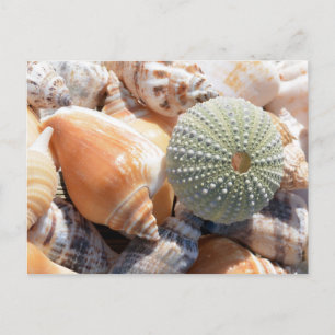 BeachSouvenirs Postkarte